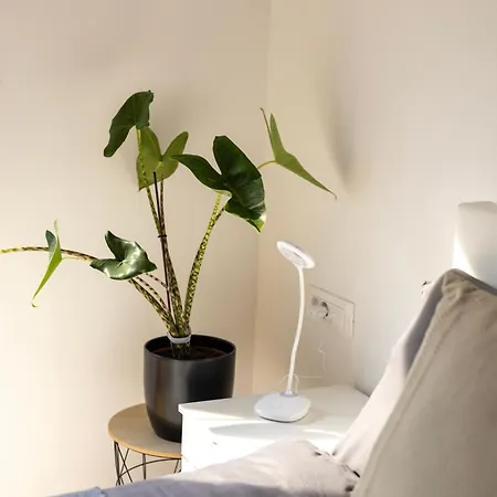 Apartament Aura