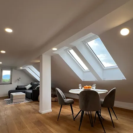 Aura 公寓 Zirovnica